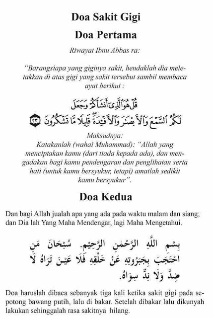 Sakit Gigi Saat Hamil, Apa Sebabnya dan Bagaimana Mencegahnya ? 13 Sakit Gigi Saat Hamil, Apa Sebabnya dan Bagaimana Mencegahnya ? 12
